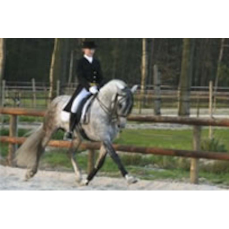 St-George + Haute ecole « Suisse »