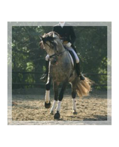 Grand prix en France