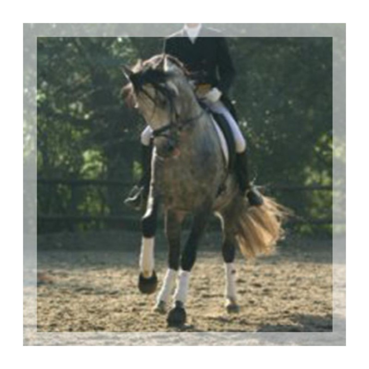 Grand prix en France