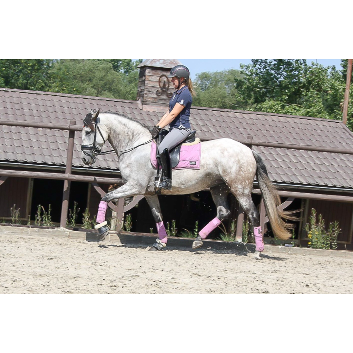 Jument Dressage Jument Dressage