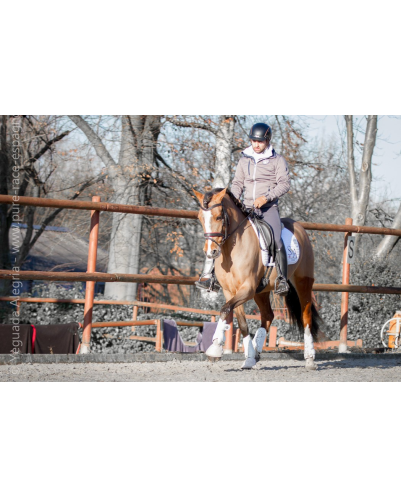 Jument Vice Championne JC 2015