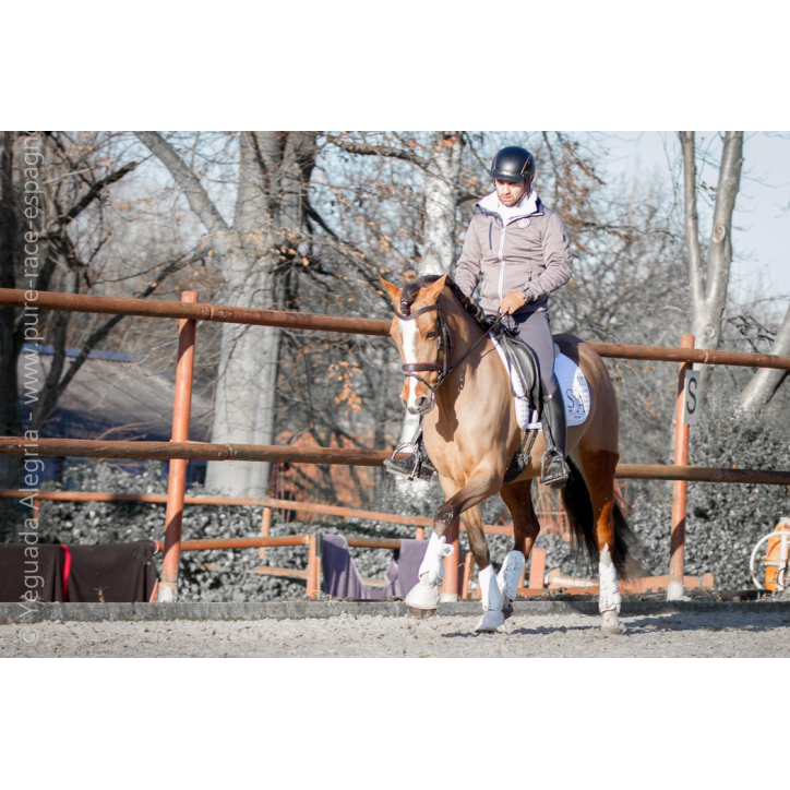 Jument Vice Championne JC 2015 Jument Vice Championne JC 2015