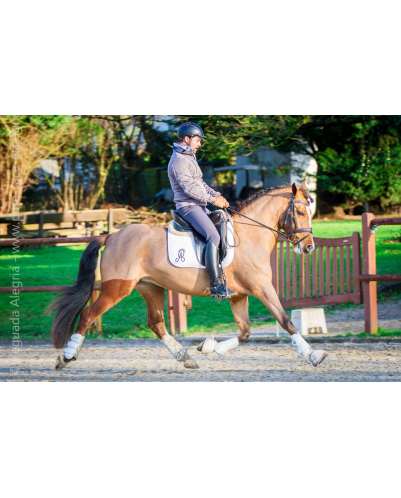 Jument Vice Championne JC 2015