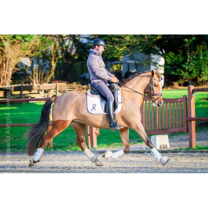 Jument Vice Championne JC 2015 Jument Vice Championne JC 2015