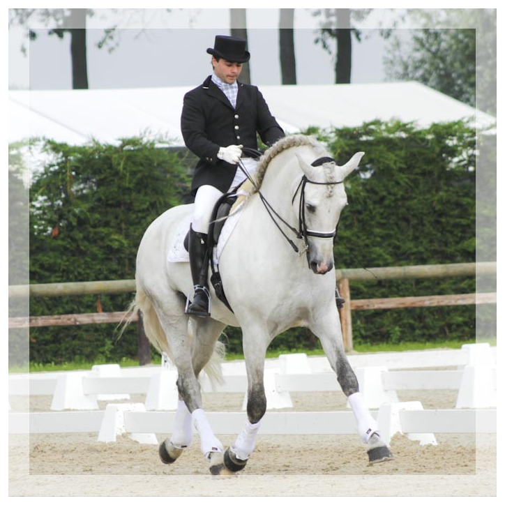 Cheval St-George « Belgique »