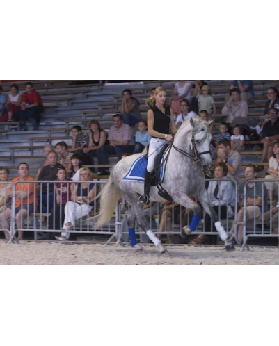Grand prix « Belgique »