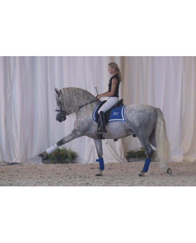 Grand prix « Belgique »