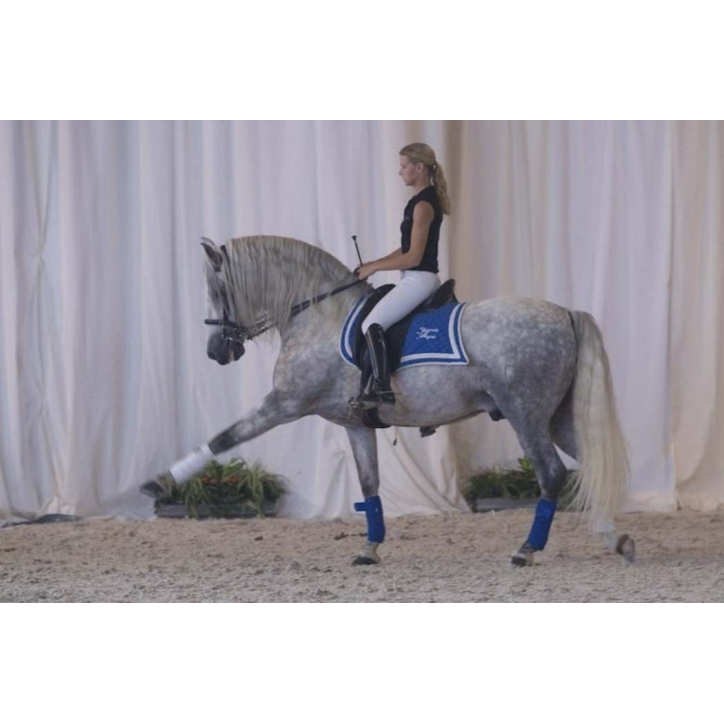 Grand prix « Belgique »