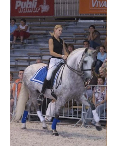 Grand prix « Belgique »