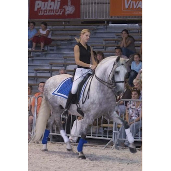 Grand prix « Belgique »