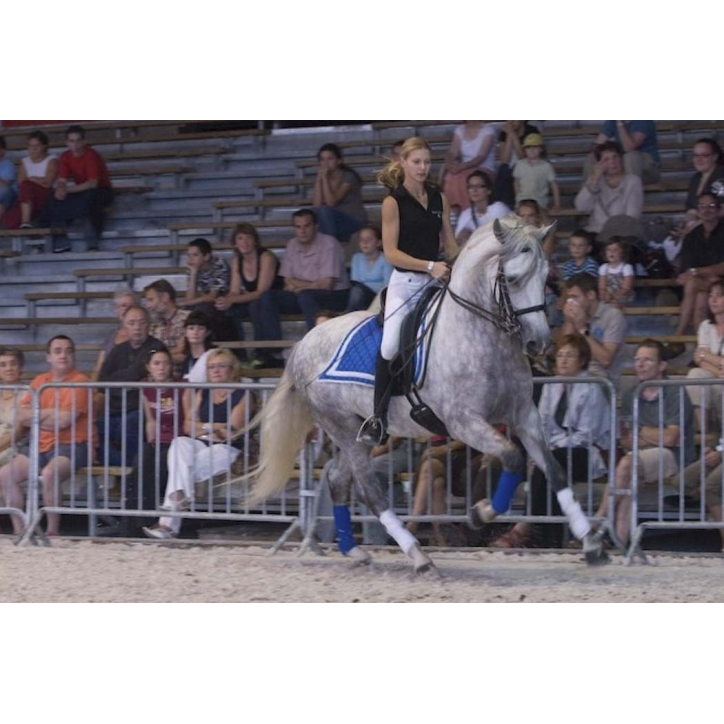 Grand prix « Belgique »