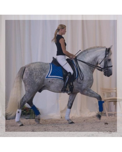 Grand prix « Belgique »