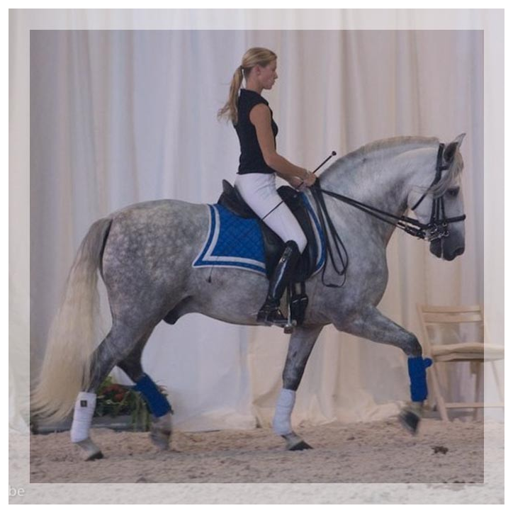 Grand prix « Belgique »