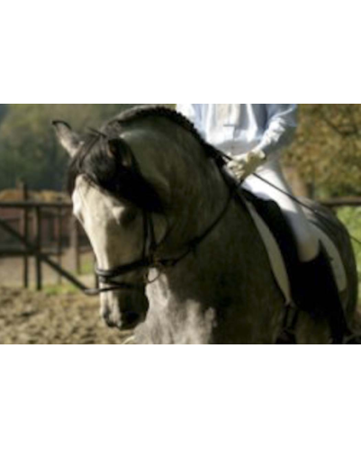 Grand prix en France