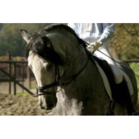 Grand prix en France