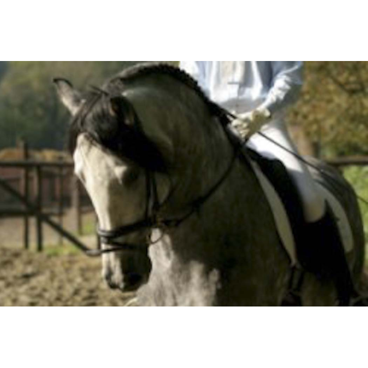 Grand prix en France