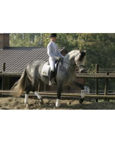 Grand prix en France