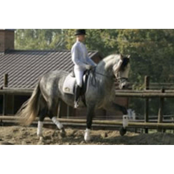 Grand prix en France