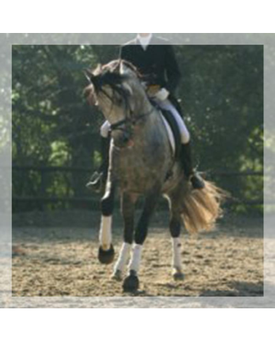 Grand prix en France