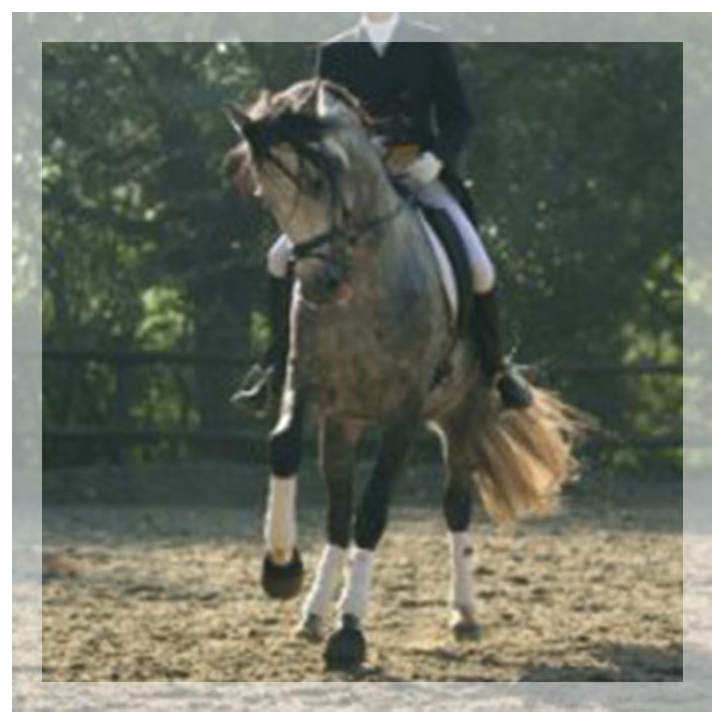 Grand prix en France