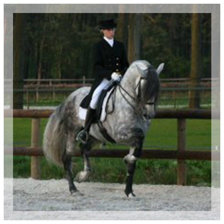 St-George + Haute ecole « Suisse »