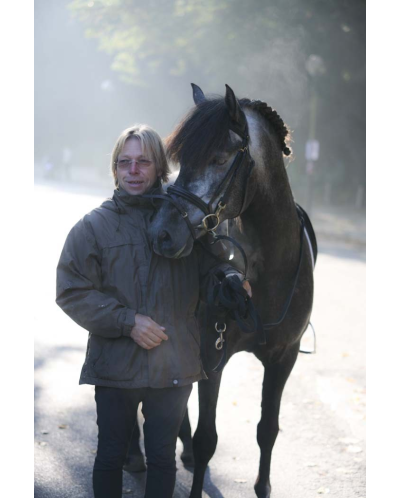 MCI jeune chevaux « belgique »