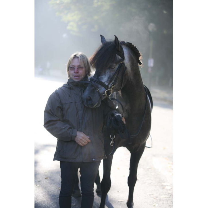 MCI jeune chevaux « belgique »
