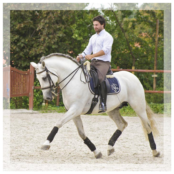 Vainqueur Jeune chevaux, Niveau M10 « Belgique » Vainqueur Jeune chevaux, Niveau M10 « Belgique »