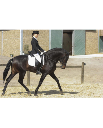 CDC 4ans « France »