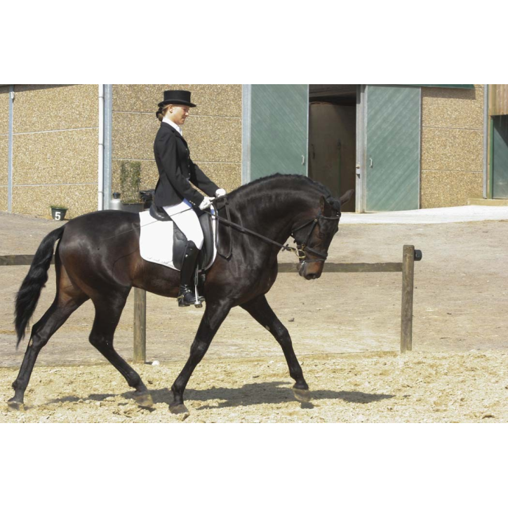 CDC 4ans « France »