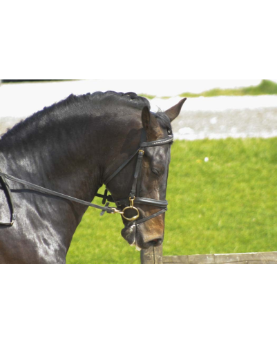 CDC 4ans « France »