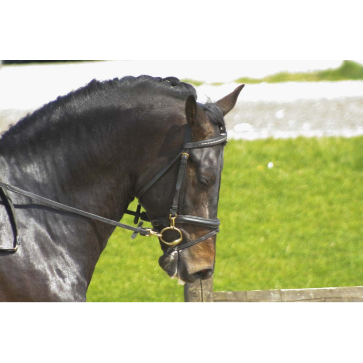 CDC 4ans « France »