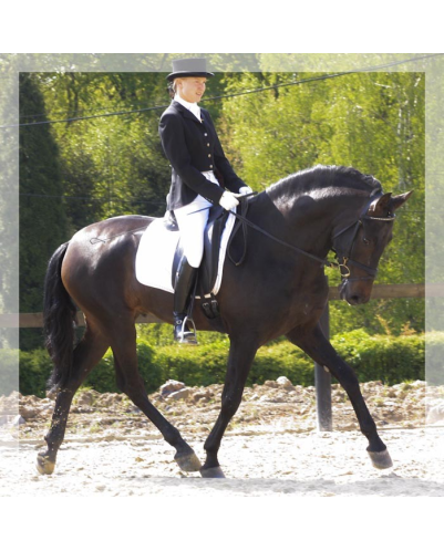 CDC 4ans « France »