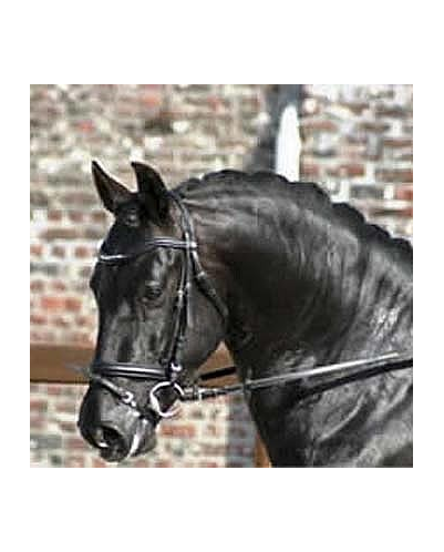 996.CDC 4ans « Belgique »