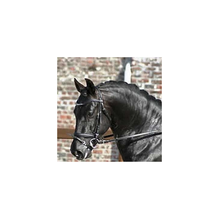 996.CDC 4ans « Belgique »