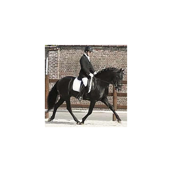 996.CDC 4ans « Belgique »