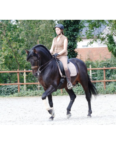 Final européenne jeune chevaux MCI, St-George, « Belgique »