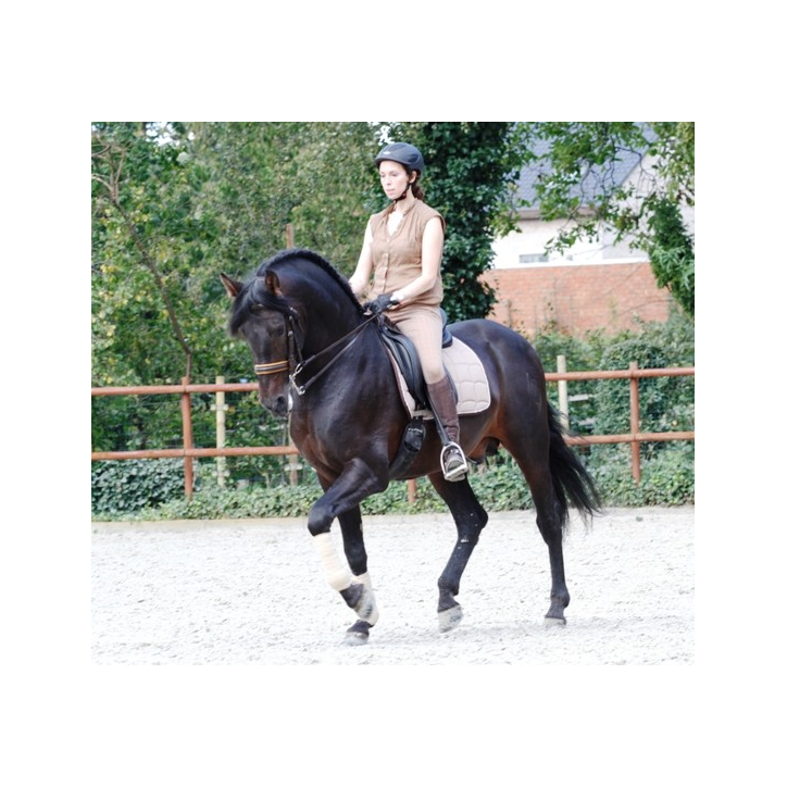 Final européenne jeune chevaux MCI, St-George, « Belgique »