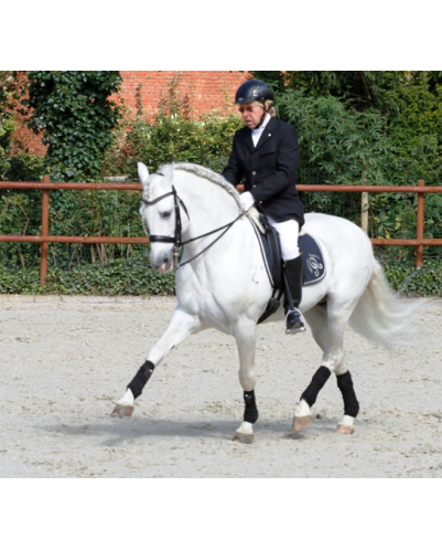 Kopie von Gibraltar Alegria