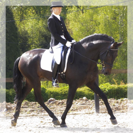 CDC 4ans « France »