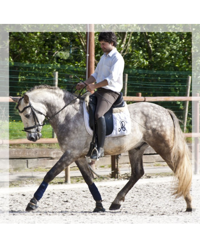 2006: Belgique Loisir