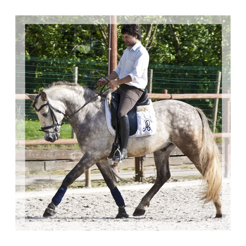 2006: Belgique Loisir