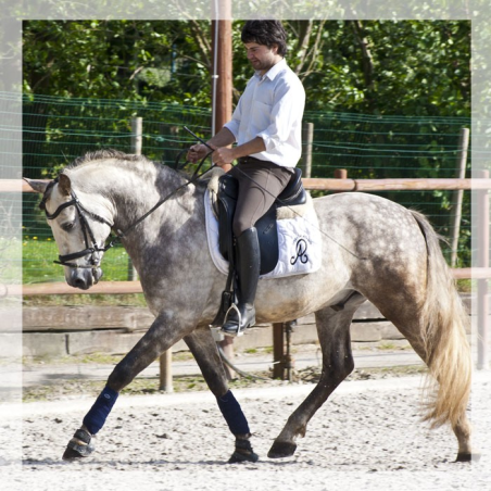 2006: Belgique Loisir