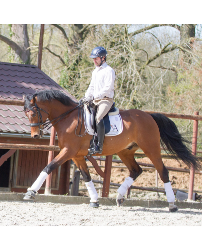Hongre cavalier junior au Luxembourg