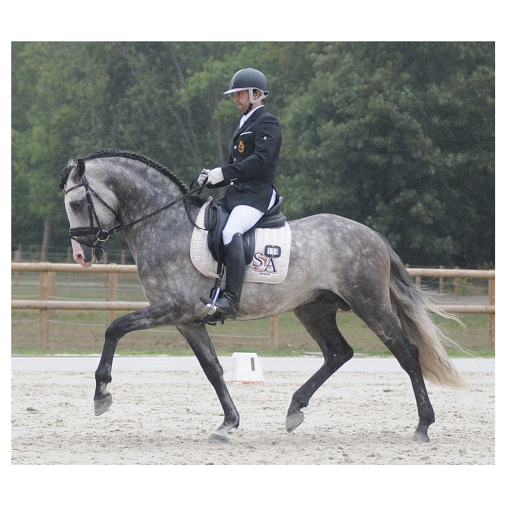 Precioso Alegria Precioso Alegria