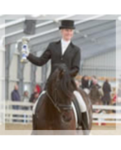 Final européenne jeune chevaux MCI, St-George, « Belgique »