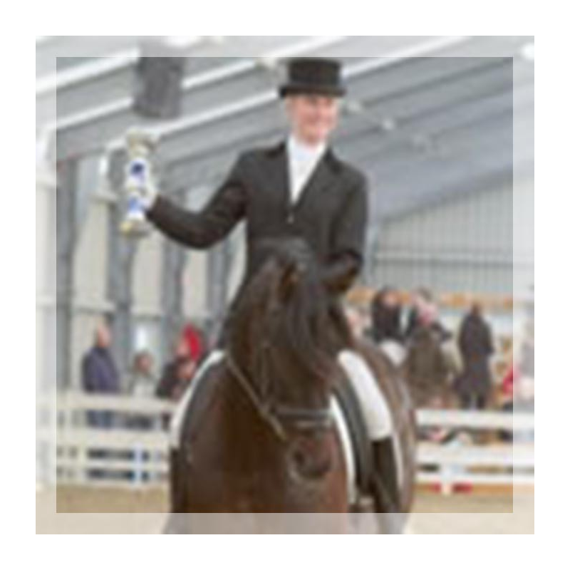 Final européenne jeune chevaux MCI, St-George, « Belgique »