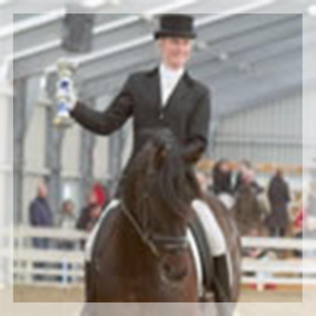 Final européenne jeune chevaux MCI, St-George, « Belgique »